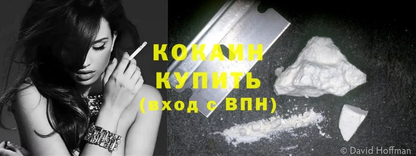 винт Верея