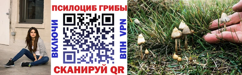 Псилоцибиновые грибы MAGIC MUSHROOMS  купить наркотик  Ишимбай 